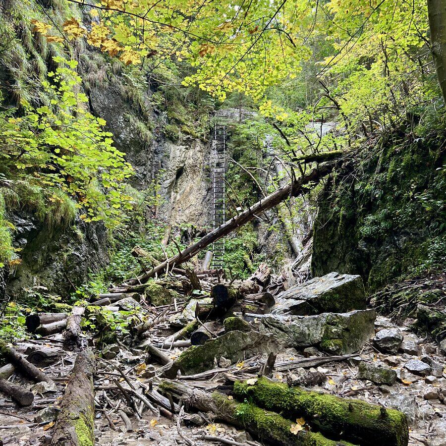 Kláštorská rokľa — fotó 3