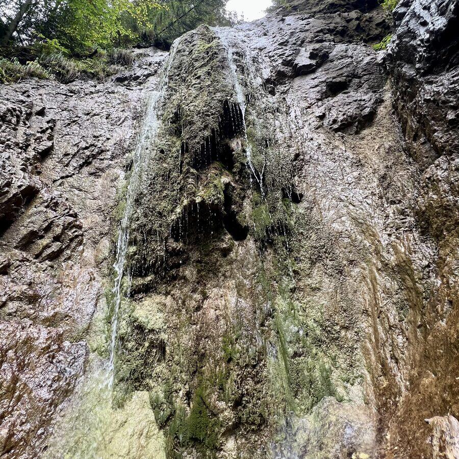 Kláštorská rokľa — fotó 5