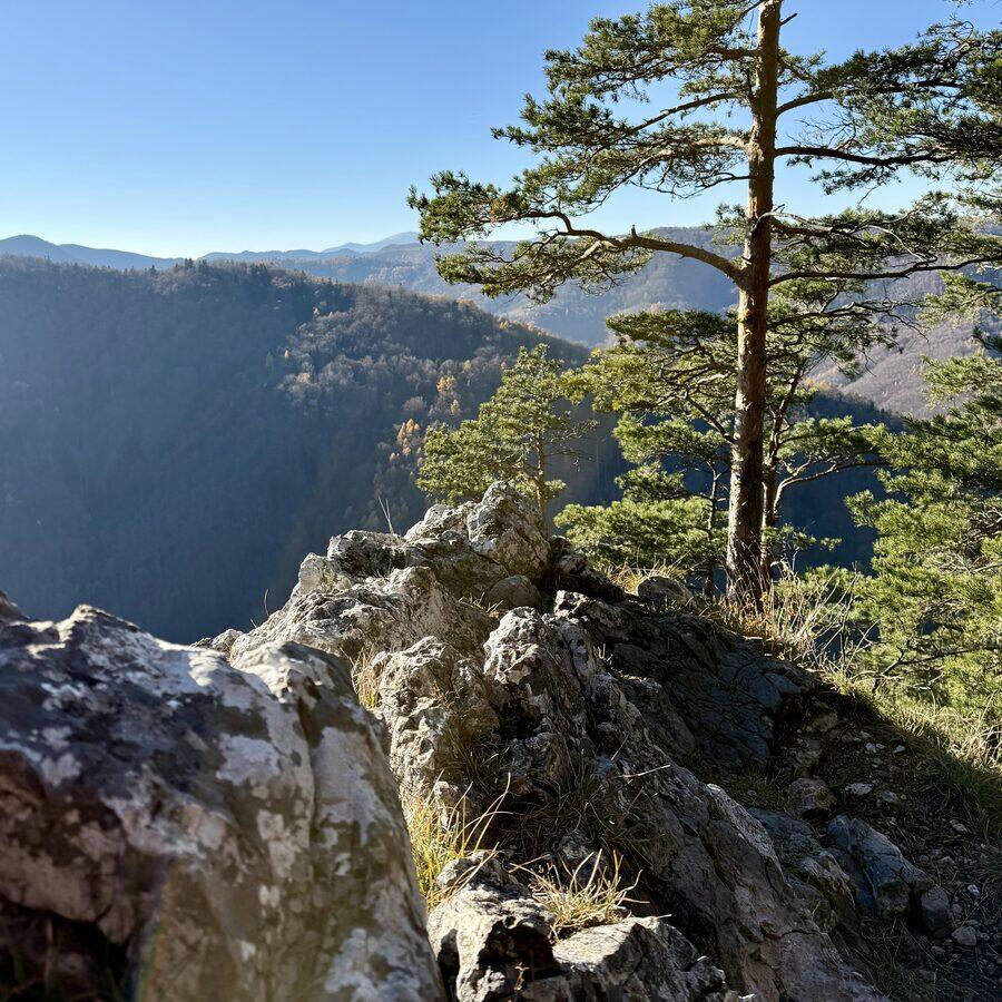Matka Božia — fotó 3