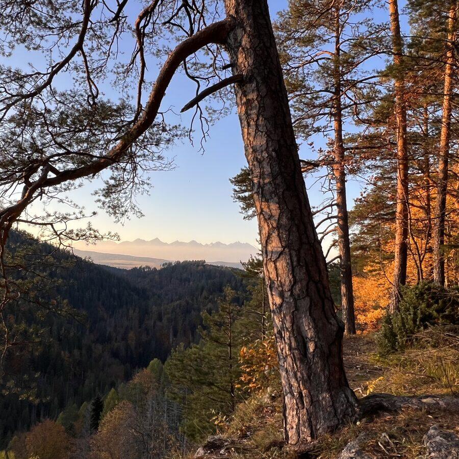 Tomášovský výhľad — fotó 3
